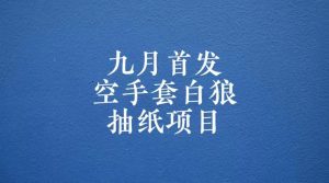0成本，日入100-500空手套白狼抽纸项目，保姆级教学-KJ分享