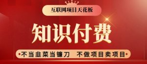 2024互联网项目天花板，新手小白也可以通过知识付费月入10W，实现财富自由-KJ分享