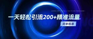 一天轻松引流200+精准流量，简单粗暴，一看就会-KJ分享
