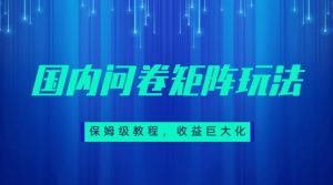 保姆级教程,国内问卷矩阵玩法,轻松赚收益-KJ分享