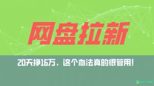 网盘拉新+私域全自动玩法，0粉起号，小白可做，当天见收益，已测单日破5000-KJ分享