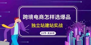 跨境电商怎样选爆品，独立站建站实战（20节高清无水印课）-KJ分享