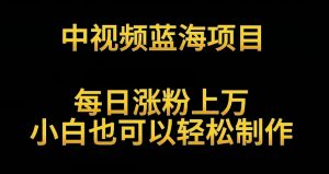 中视频蓝海项目，解读英雄人物生平，每日涨粉上万，小白也可以轻松制作，月入过万不是梦-KJ分享