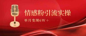 单月变现6w+，情感粉引流变现实操课-KJ分享