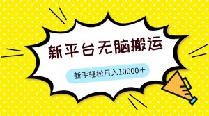 新平台用软件无脑搬运,月赚10000+,小白也能轻松上手-KJ分享