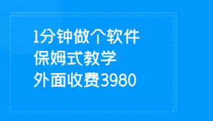 1分钟做个软件 有人靠这个已经赚100W 保姆式教学 外面收费3980-KJ分享