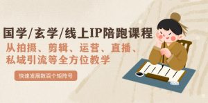 国学/玄学/线上IP陪跑课程，从0-1全方位教学，快速发展数百个矩阵号-KJ分享