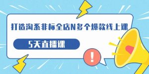 打造-淘系-非标全店N多个爆款线上课,5天直播课(19期)-KJ分享