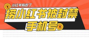 【首发解封】小红书被封号禁言账号手机换绑-KJ分享