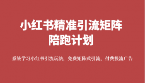 小红书精准引流矩阵陪跑计划,系统学习小红书引流玩法,免费矩阵式引流,付费投流广告-KJ分享