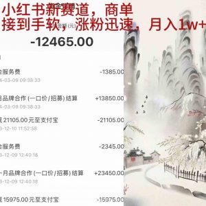 小红书新赛道,商单接到手软,涨粉迅速,月入1w+-KJ分享