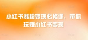 小红书涨粉变现必修课，带你玩赚小红书变现-KJ分享