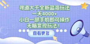 寻道大千全新蓝海玩法，一天4000+，小白一部手机即可操作，无脑变现玩法！-KJ分享