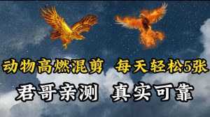 动物超燃混剪，每天轻松5张，剪辑简单大家爱看-KJ分享