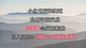 小红书短剧赛道,私域引流交易,会复制粘贴,日入500+(附6.7T短剧资源)-KJ分享