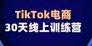 TikTok电商带货30天线上课,不可错过的全球流量洼地!-KJ分享