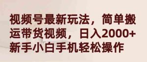 视频号最新玩法，简单搬运带货视频，日入2000+，新手小白手机轻松操作-KJ分享