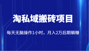 价值2980的淘私域搬砖项目,每天无脑操作1小时,月入2万后期躺赚-KJ分享