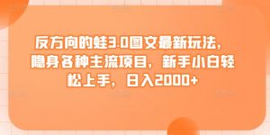 反方向的蛙3.0图文最新玩法，隐身各种主流项目，新手小白轻松上手，日入2000+-KJ分享