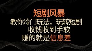 短剧风暴,教你冷门玩法,玩转短剧,收钱收到手软-KJ分享