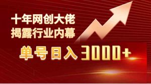 单号日入3000+,工作室内部无脑美女视频玩法,100%过原创-KJ分享