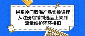 拼系冷门蓝海产品实操课程，从注册店铺到选品上架到流量维护环环相扣-KJ分享