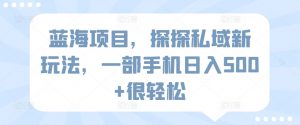 蓝海项目，探探私域新玩法，一部手机日入500+很轻松-KJ分享