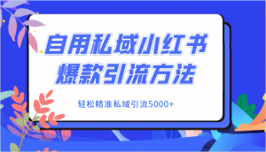 自用私域小红书爆款引流方法，轻松精准私域引流5000+-KJ分享