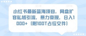 小红书最新蓝海项目，网盘扩容私域引流，暴力变现，日入1000+（附100T占位文件）-KJ分享