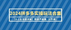 2024拼多多实操玩法合集【0-1全流程详解】照葫芦画瓢(9节课).-KJ分享