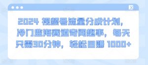 2024视频号流量分成计划，冷门监海赛道奇闻趣事，每天只需30分钟，轻松目赚 1000+-KJ分享