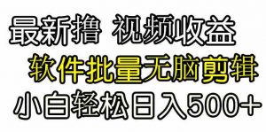 发视频撸收益，软件无脑批量剪辑，第一天发第二天就有钱-KJ分享
