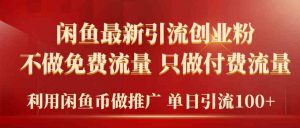 2024年闲鱼币推广引流创业粉，不做免费流量，只做付费流量，单日引流100+-KJ分享