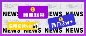 简单粗暴零成本,高回报,全网视频VIP掘金项目,月入2万+-KJ分享