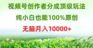 视频号创作者分成顶级玩法,纯小白也能100%原创,无脑月入10000+-KJ分享