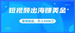 短视频出海赚美金,复制粘贴批量操作,小白轻松掌握,月入4500美刀-KJ分享