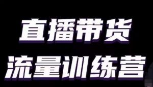 直播带货流量训练营，小白主播必学直播课-KJ分享