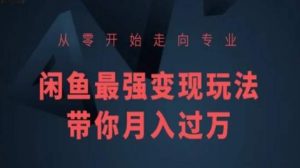 从零开始走向专业,闲鱼最强变现玩法带你月入过万-KJ分享