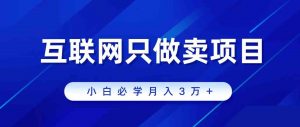 互联网的尽头就是卖项目,被割过韭菜的兄弟们必看!轻松月入三万以上!-KJ分享