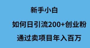 新手小白如何日引流200+创业粉通过卖项目年入百万-KJ分享