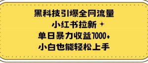 黑科技引爆全网流量小红书拉新,单日暴力收益7000+,小白也能轻松上手-KJ分享