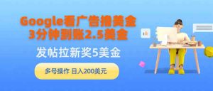 Google看广告撸美金,3分钟到账2.5美金,发帖拉新5美金,多号操作,日入…-KJ分享