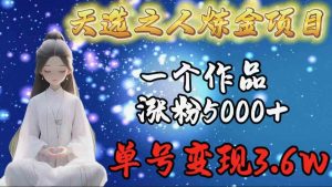 天选之人炼金项目,一个作品涨粉5000+,单号变现3.6w-KJ分享