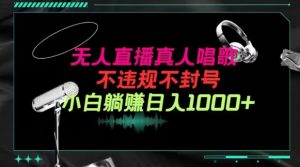 抖音24小时无人直播音乐，不违规，不封号纯撸音浪，小白实操当天日入1000+-KJ分享
