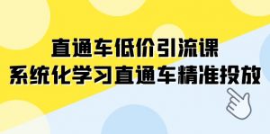 直通车-低价引流课，系统化学习直通车精准投放（14节课）-KJ分享