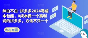 拼多多2024零成本包起，0成本做一个高利润的拼多多，方法不只一个-KJ分享