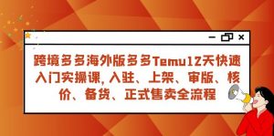 跨境多多海外版多多Temu12天快速入门实战课,从入驻 上架到正式售卖全流程-KJ分享
