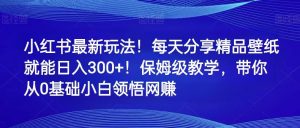 小红书最新玩法!每天分享精品壁纸就能日入300+!保姆级教学,带你从0领悟网赚-KJ分享