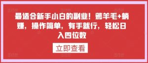 最适合新手小白的副业!薅羊毛+躺赚,操作简单,有手就行,轻松日入四位数-KJ分享