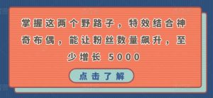 掌握这两个野路子,特效结合神奇布偶,能让粉丝数量飙升,至少增长 5000-KJ分享